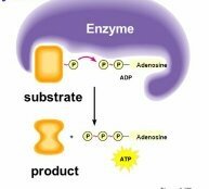 what is an example of a substrate
