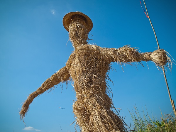 what is straw man fallacy give example