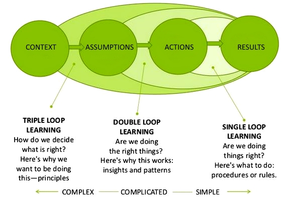 single loop learning organisation example