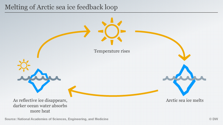 positive feedback loop global warming example