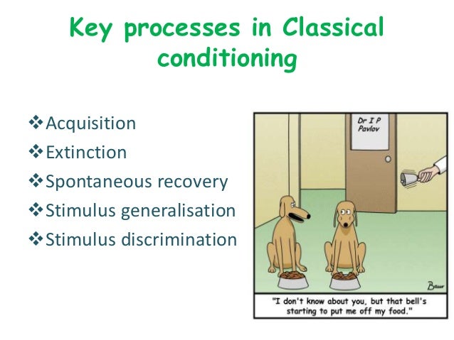 an example of extinction in classical conditioning