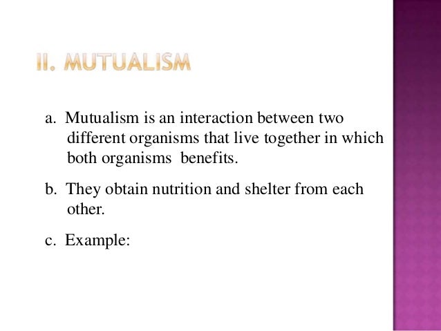 which example is an organism