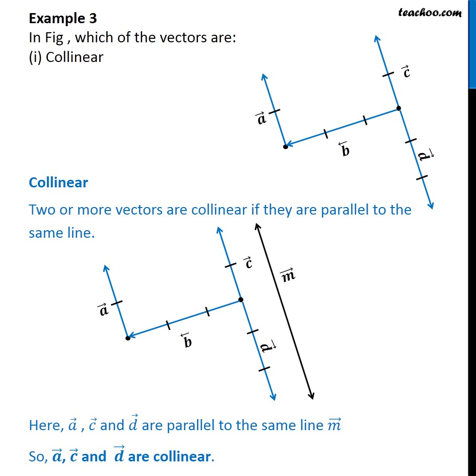 what is a vector example