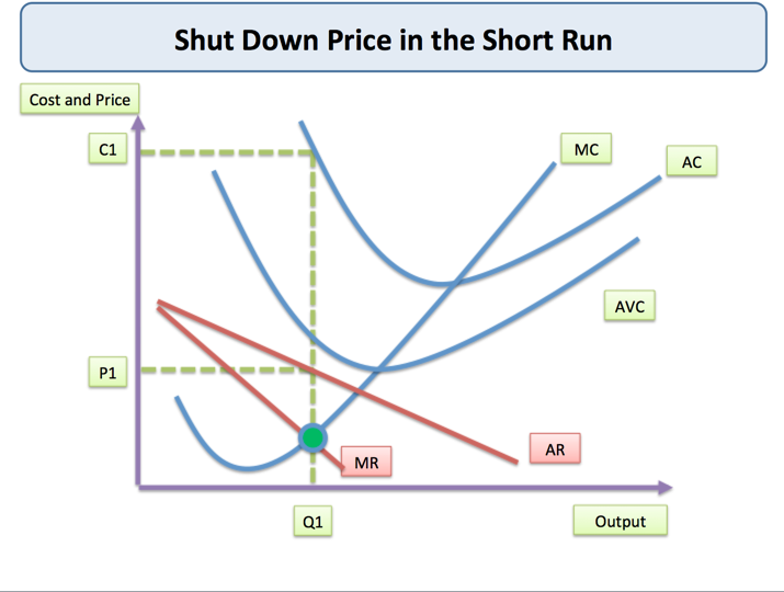 example of short run in economics
