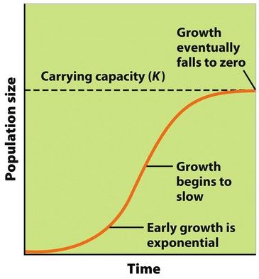 exponential function population growth example