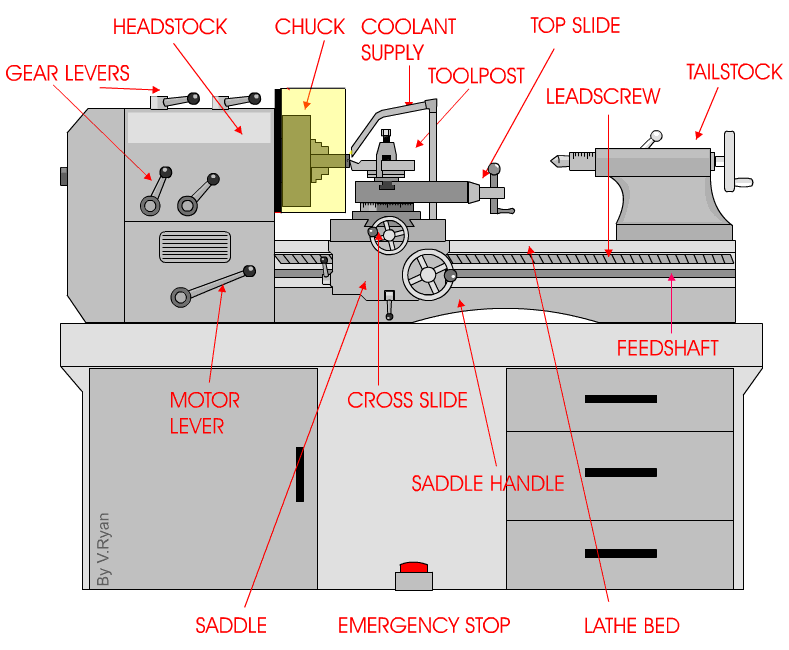 nail cutter is an example of first order lever