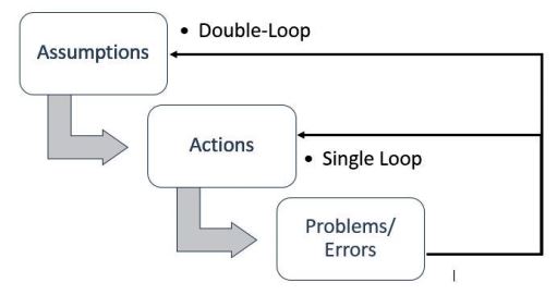 single loop learning organisation example