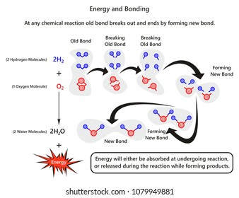 what is an example of a covalent bond open study