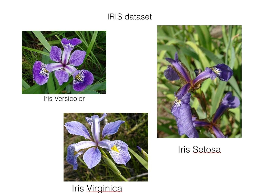 iris database machine learning example