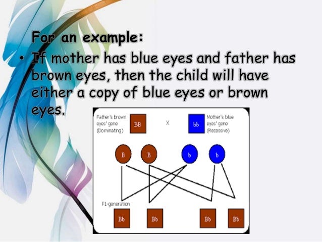 blue eyes are an example of a phenotype