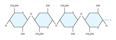 cellulose is an example of