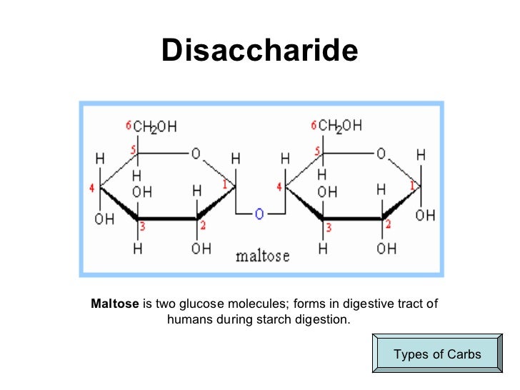 which of the following is an example of a polysaccharide