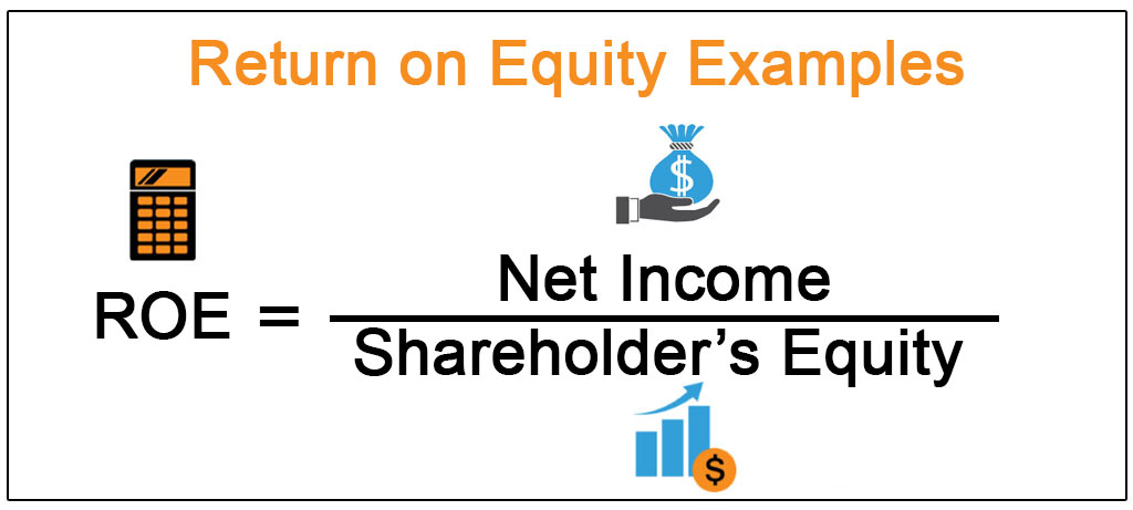 what is return on equity example