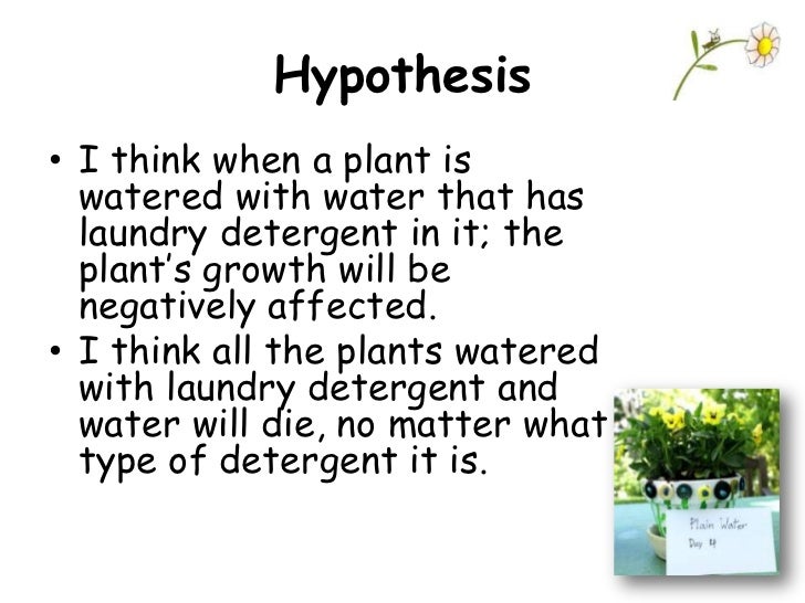 example of a hypothesis experiment