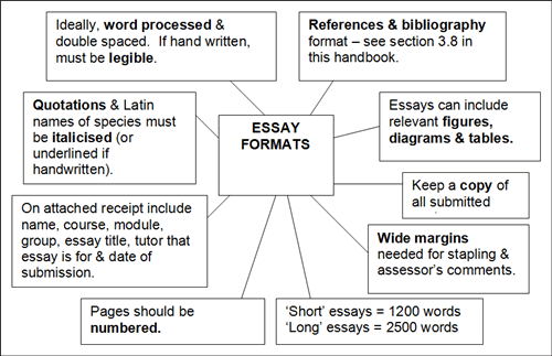example of essay topic words make a difference
