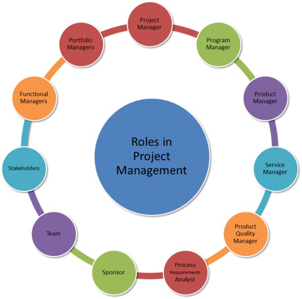 role of management in software development with example